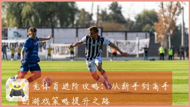 乐竞体育进阶攻略：从新手到高手的游戏策略提升之路