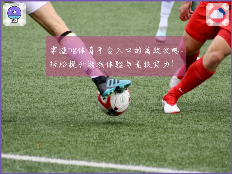 掌握ng体育平台入口的高效攻略，轻松提升游戏体验与竞技实力！