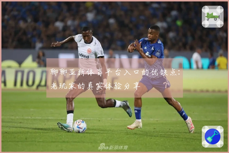 聊聊亚新体育平台入口的优缺点：老玩家的真实体验分享